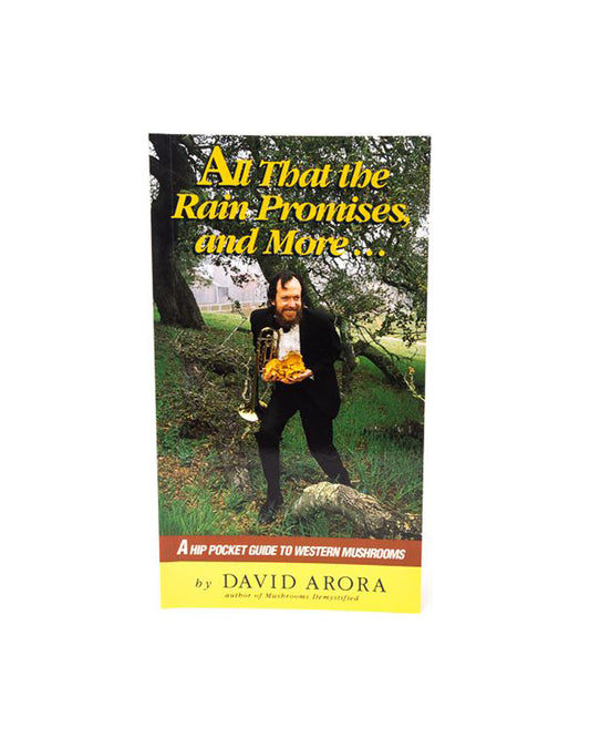 All That the Rain Promises and More