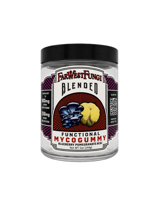 Blueberry, Pomegranate & Acai Blended Myco Gummy 24 Pack
