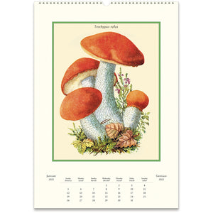 
                  
                    2025 Mushroom Wall Calendar
                  
                