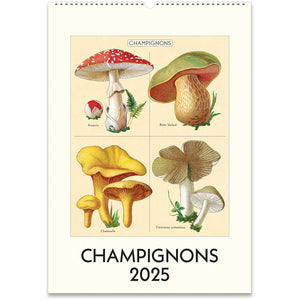 
                  
                    2025 Mushroom Wall Calendar
                  
                