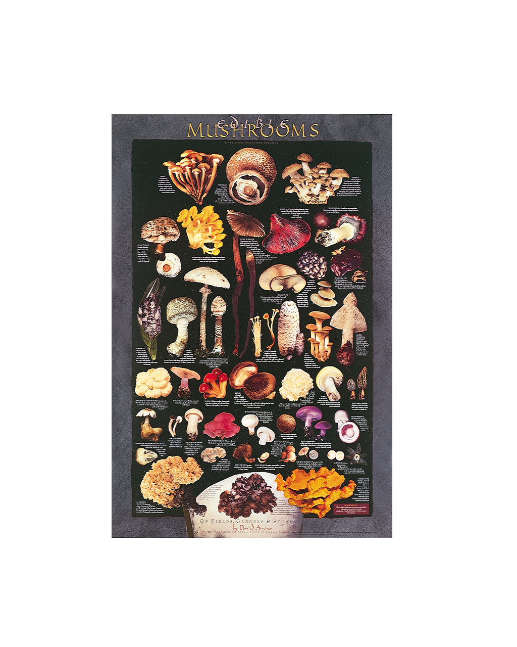 A vertical educational poster titled 'MUSHROOMS' showing numerous illustrated mushroom species arranged in rows on a dark background, with a small bowl of mushrooms at the bottom. The poster is centered on a plain white background.