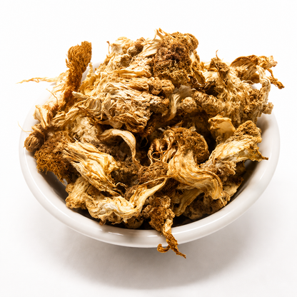 Dried CCOF Organic Lion's Mane