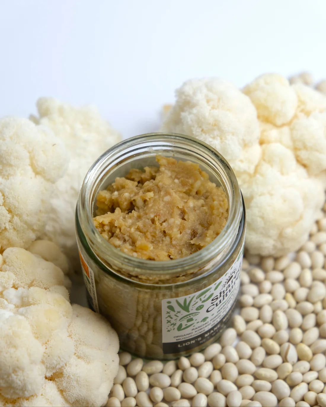 Shared Cultures Lion's Mane Miso