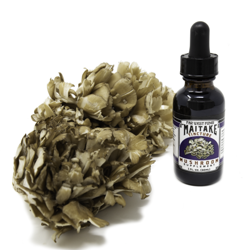 Maitake Tincture
