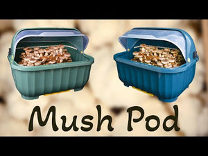 
                  
                    Load and play video in Gallery viewer, Far West Fungi&amp;#39;s Mush Pod
                  
                