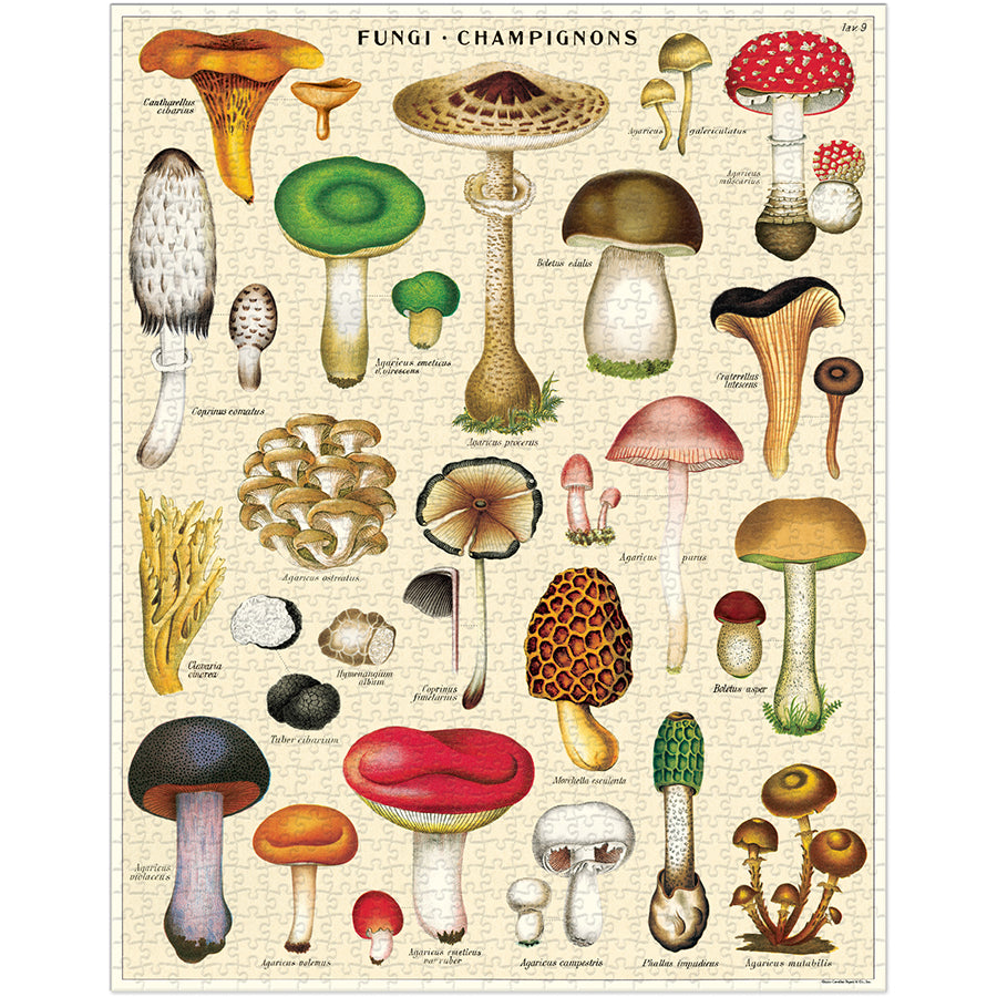 Vintage-style Mushroom Puzzle (1000 piece)
