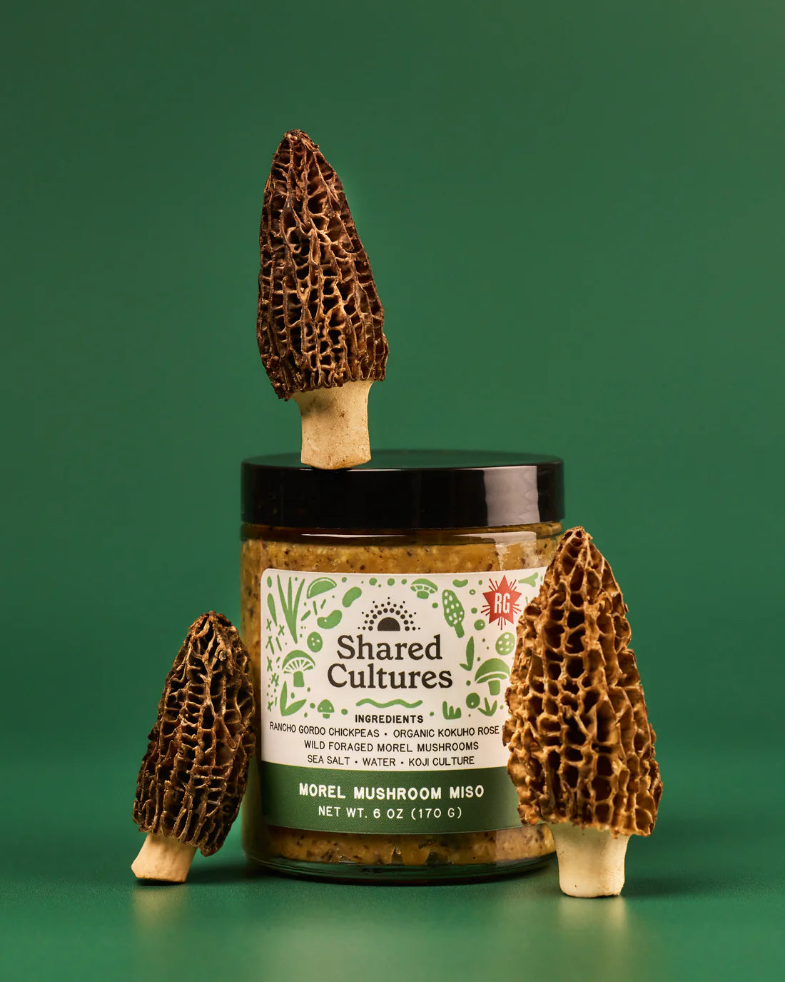 Shared Cultures Morel Miso
