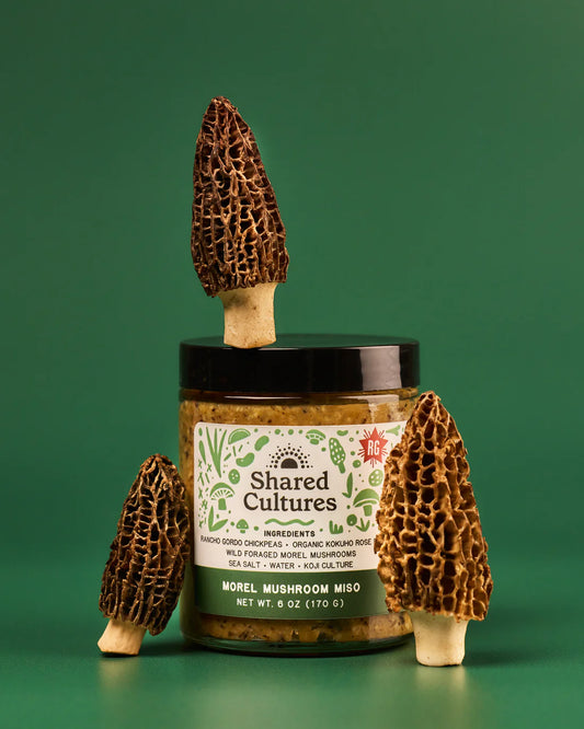Jar of 'Shared Cultures' morel mushroom product with decorative morel mushrooms on a green background