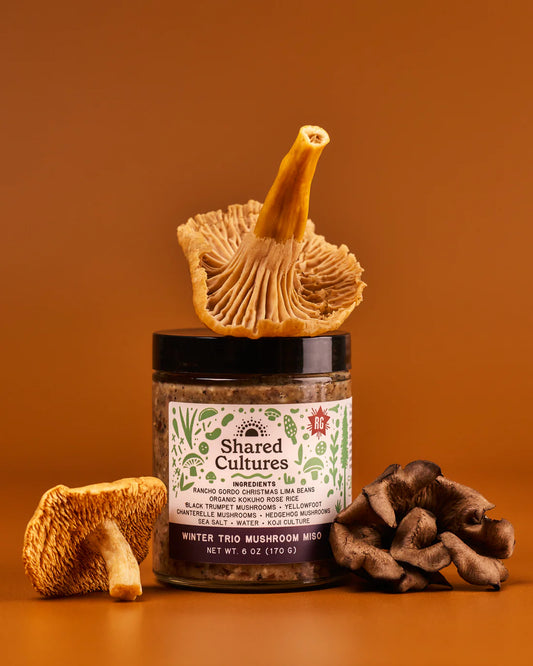 Shared Cultures Winter Trio Mushroom Miso