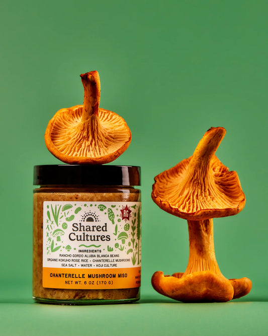 Jar of 'Shared Cultures' mushroom miso with chanterelle mushrooms on a green background