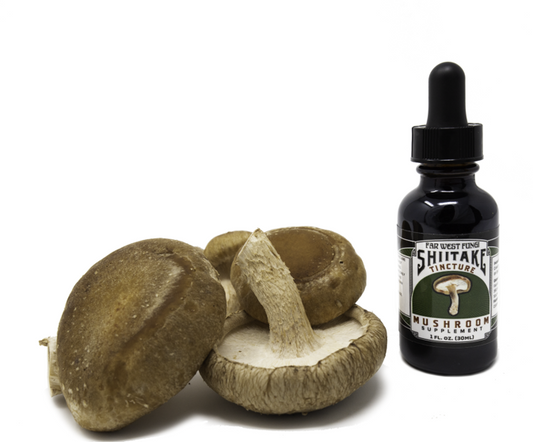 Shiitake Tincture