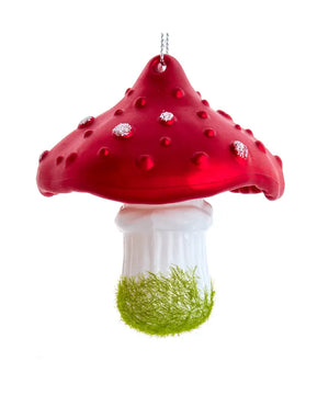 
                  
                    Mushroom Ornament
                  
                