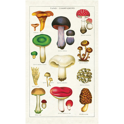 Vintage Tea Towel