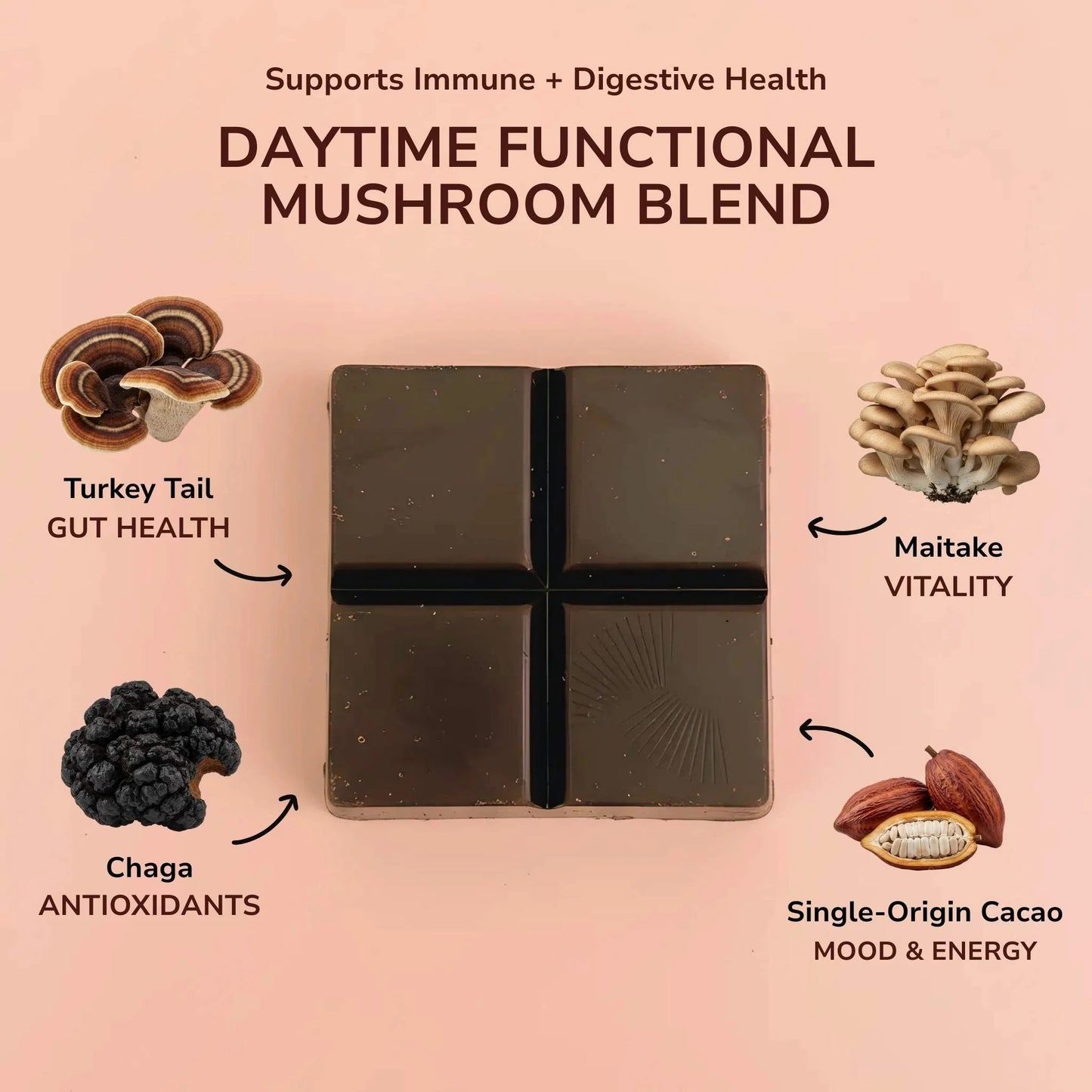 Daytime Turkey Tail, Maitake & Chaga Chocolate