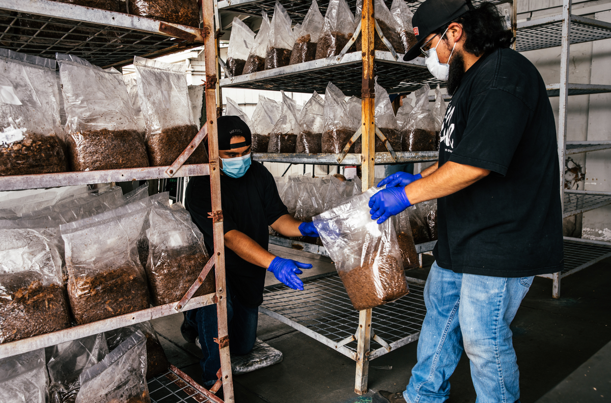 Two people in a storage area with shelves filled with bags of soil or compost.
