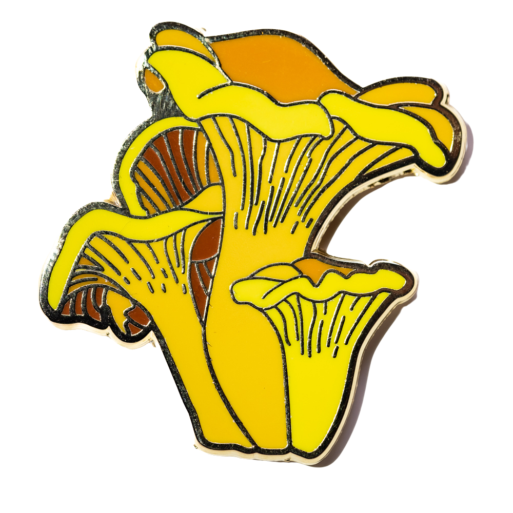Mushroom Pins-Assorted Varitey