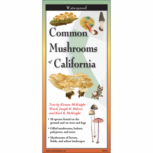 Common Mushrooms of California Folding Guide