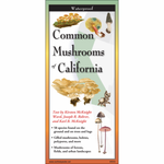 Common Mushrooms of California Folding Guide