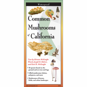 
                  
                    Common Mushrooms of California Folding Guide
                  
                