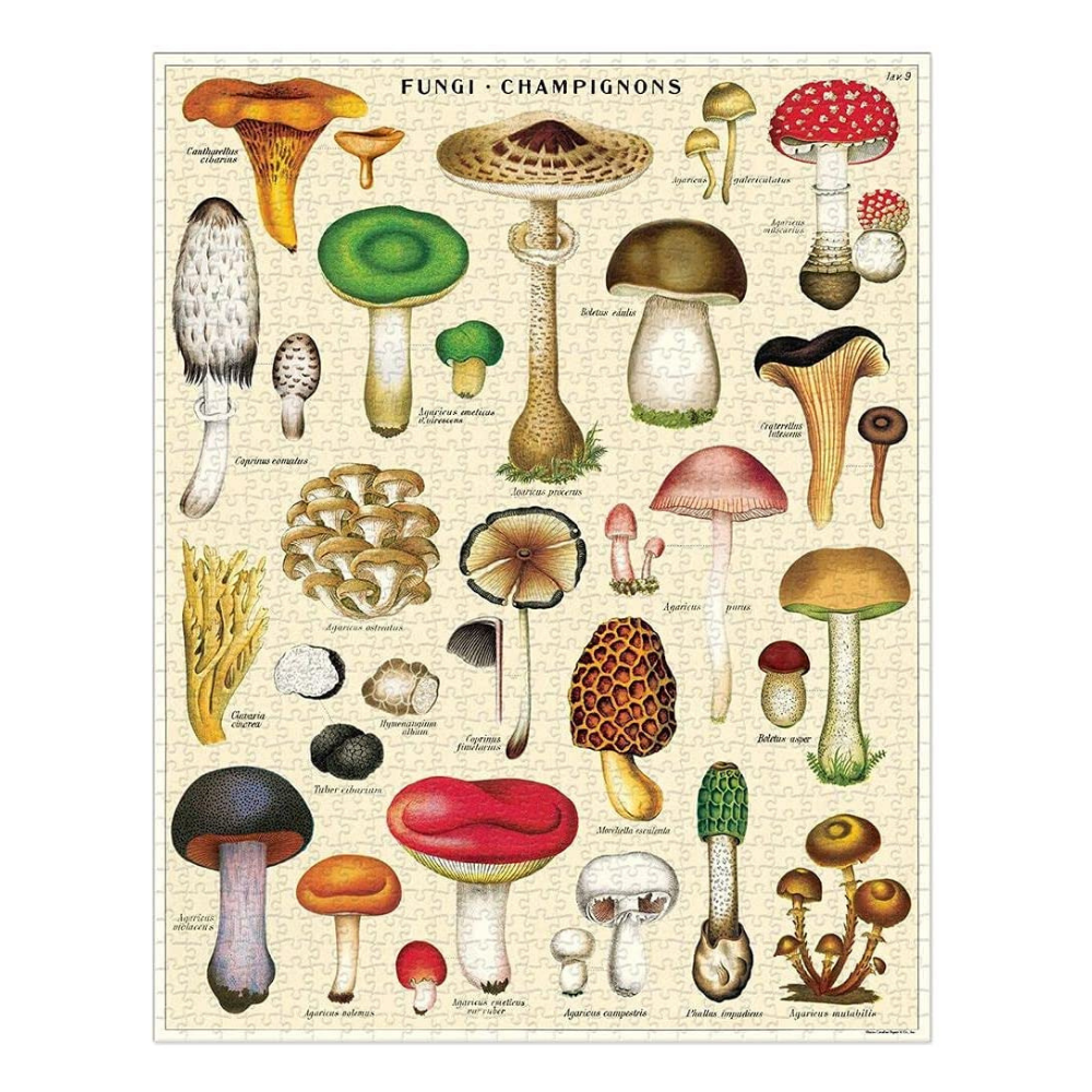 Vintage-style Mushroom Puzzle (1000 piece)