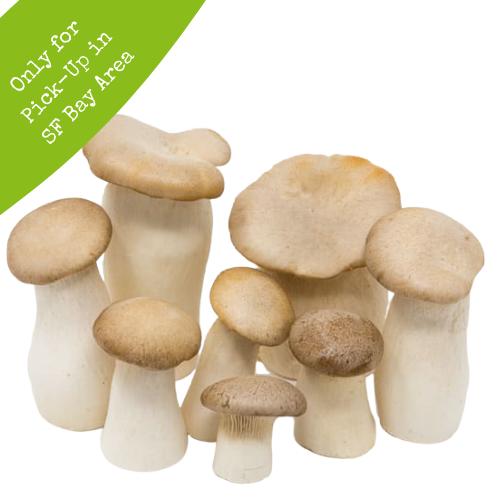 Fresh King Trumpets 5lb Box