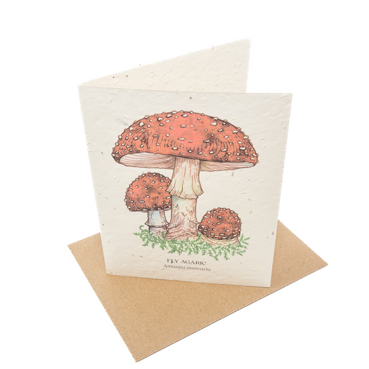Amanita Muscaria Plantable Seed Card