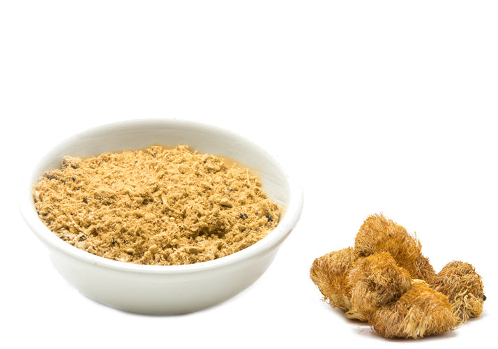 CCOF Organic Lion's Mane Powder