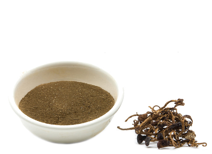 CCOF Organic Pioppini Powder