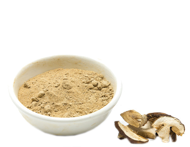 Domestic Porcini Powder