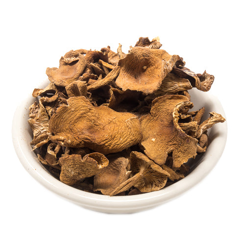 Dried Candy Cap