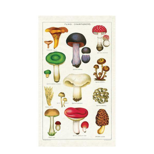Vintage Tea Towel