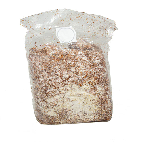 Mushroom Spawn Bags (Made-to-Order)