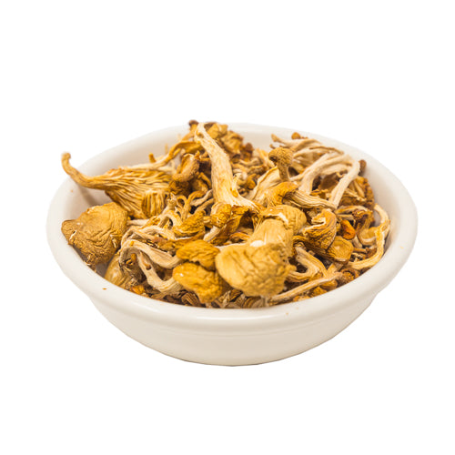 Dried Yellowfoot