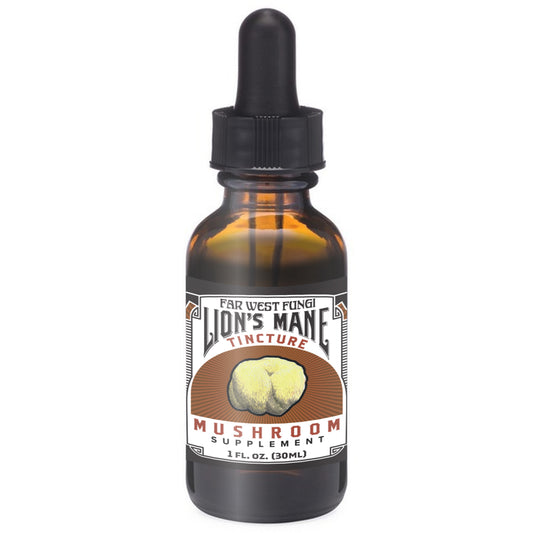 Lion's Mane Tincture