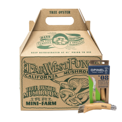 Mushroom Mini-Farm Grow Kit & Forager Knife Bundle