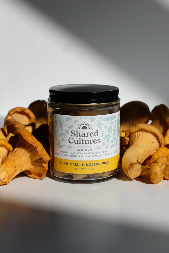 Shared Cultures Chanterelle Miso