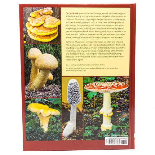 California Mushroom (Identification Guide)