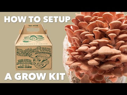 Pink Oyster Mushroom Mini-Farm Grow Kit