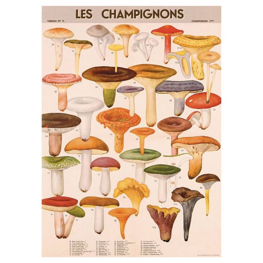 Les Champignons Poster